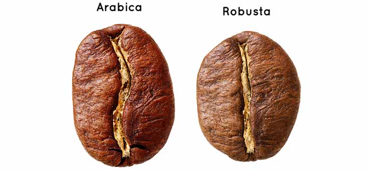 Whats The Difference Between Arabica And Robusta Coffee Beans?