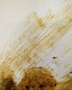 coffee painting on white paper