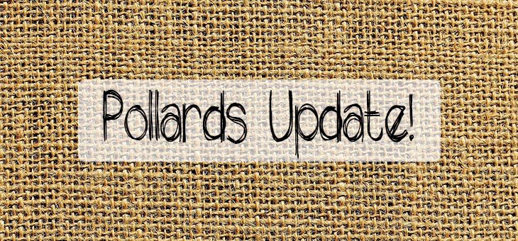 Pollards-Update-Blog-Feature-Image