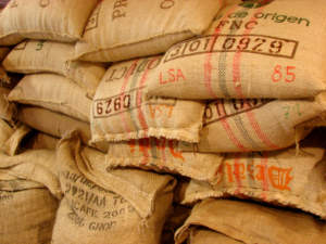 sacks-green-coffee-beans-ready-to-roast